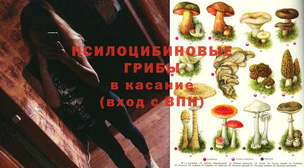 бошки Алзамай