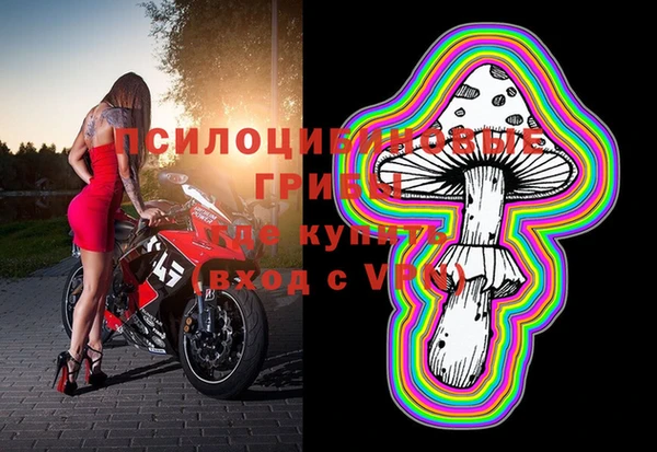молекула духа Абдулино