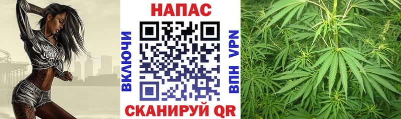 купить наркоту  Дрезна  Канабис план 